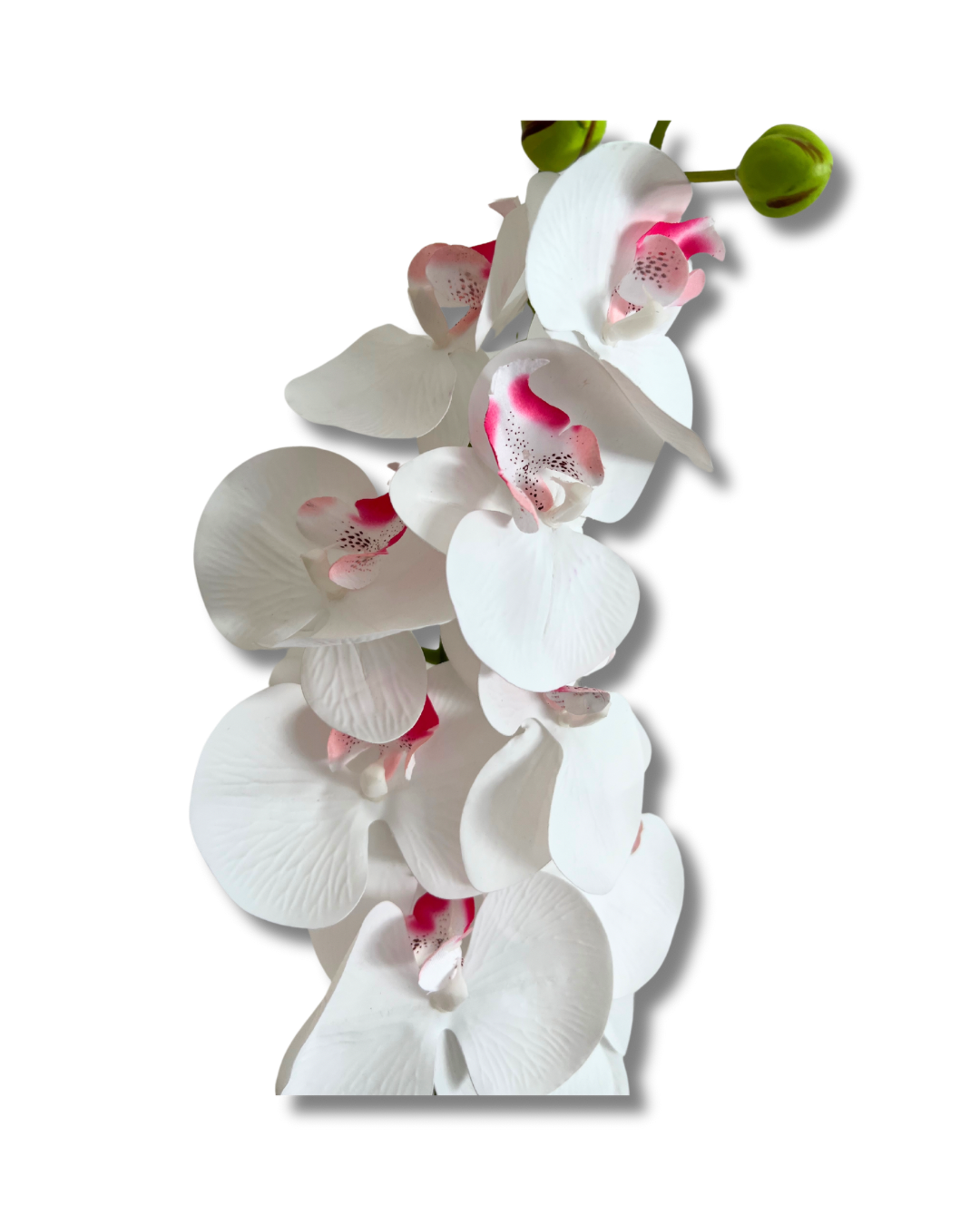 White with pop of pink