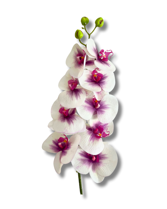 White With Pop Of Purple Orchid
